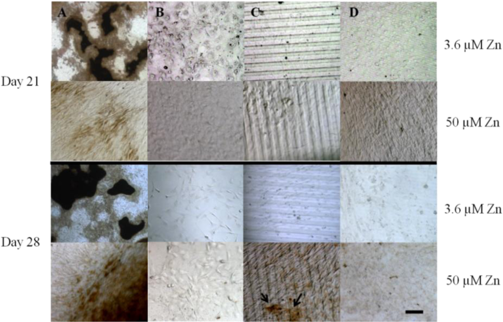 Materials 07 01097f5 1024