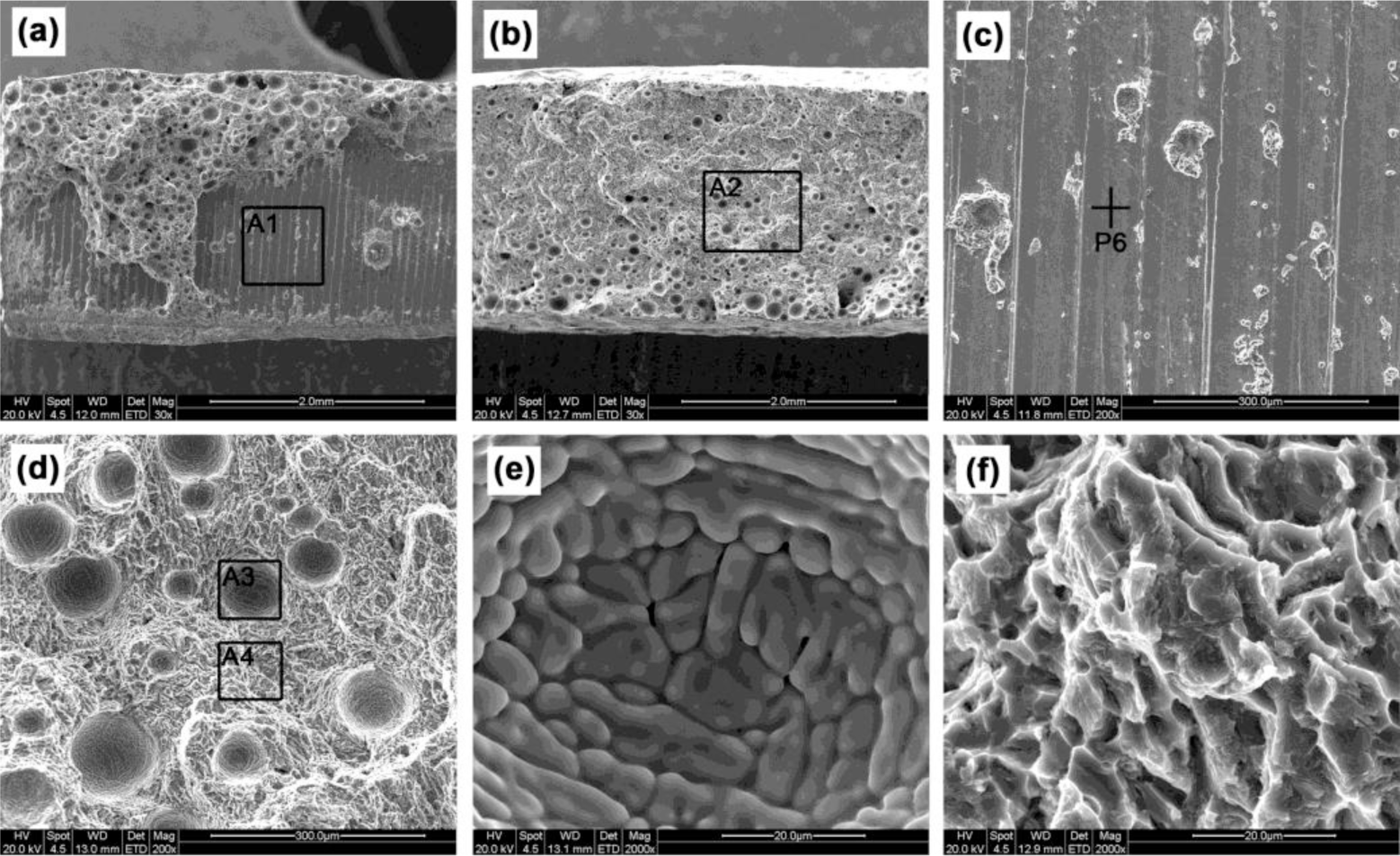 Materials 07 01590f9 1024