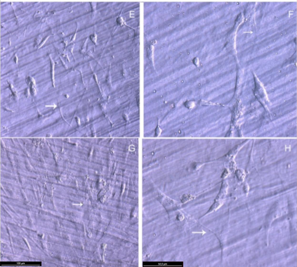 Materials 07 01687f3a 1024