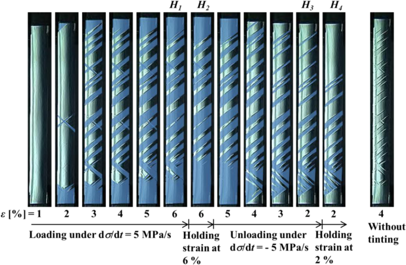 Materials 07 01912f5 1024