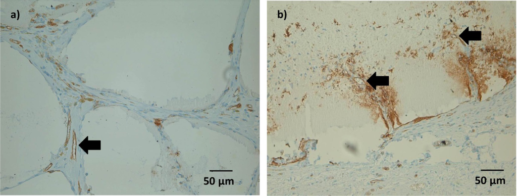 Materials 07 01957f8 1024