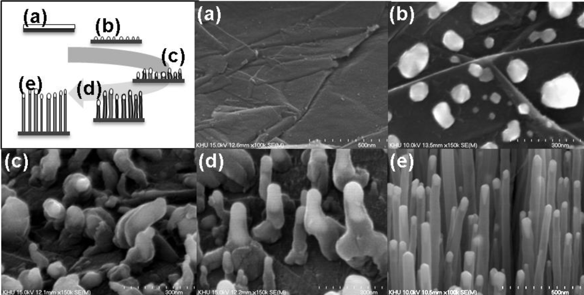 Materials 07 01975f2 1024