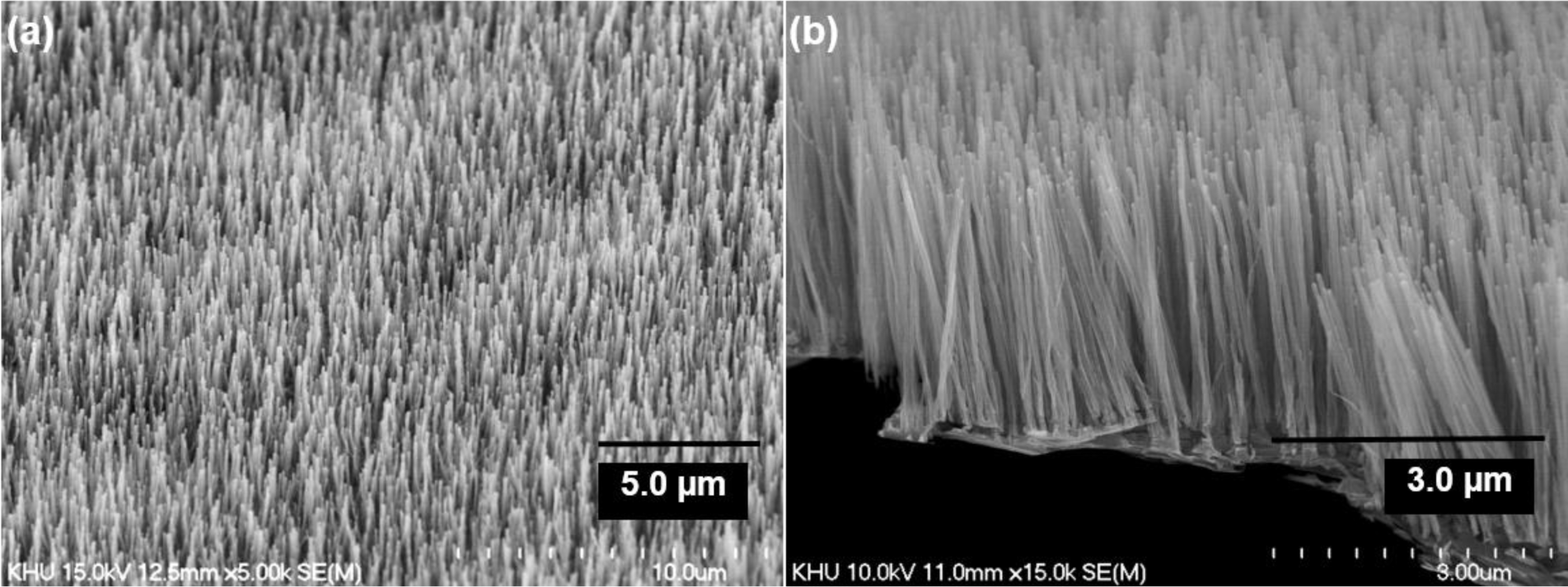 Materials 07 01975f3 1024