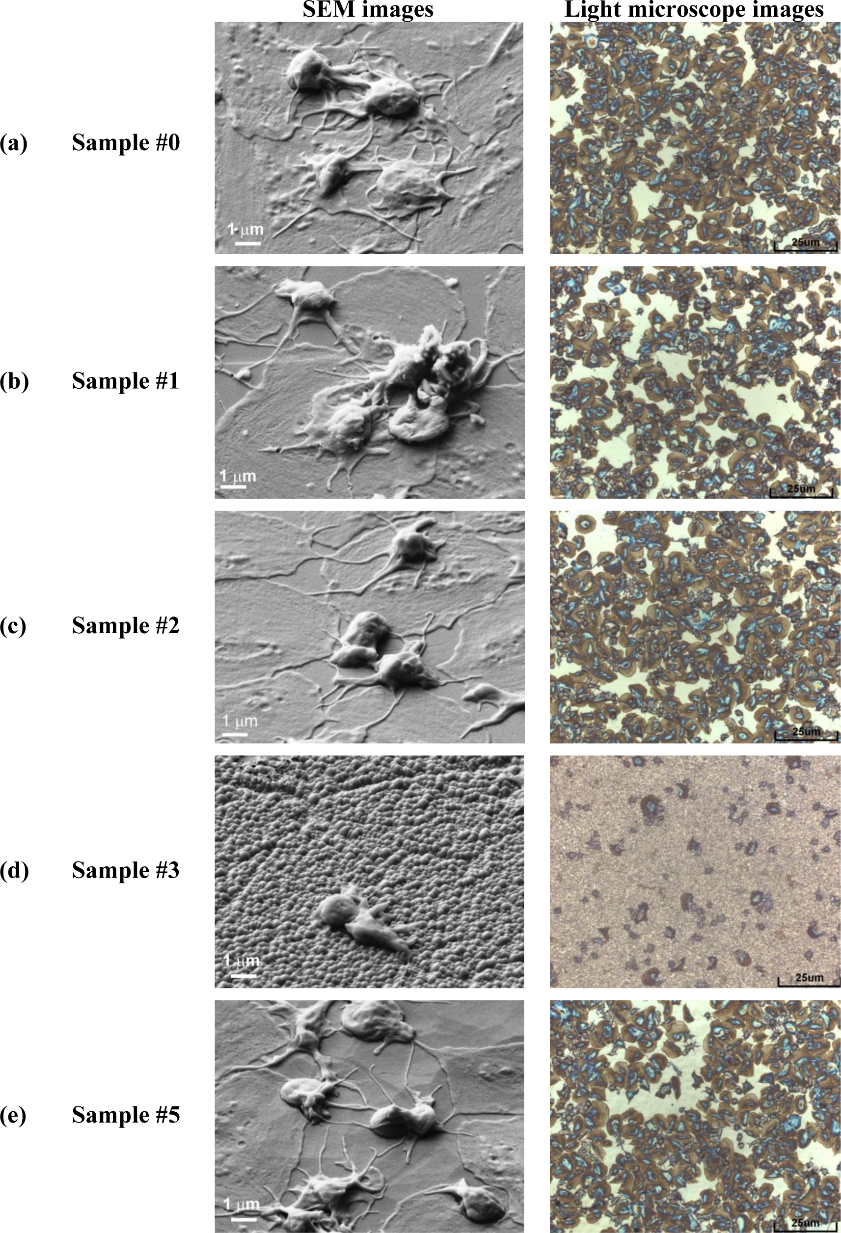 Materials 07 02014f6 1024