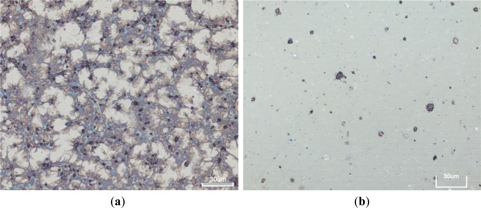 Materials 07 02014f7 1024