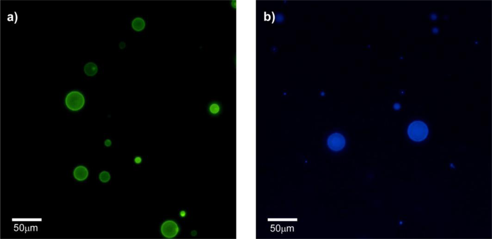 Materials 07 02120f10 1024