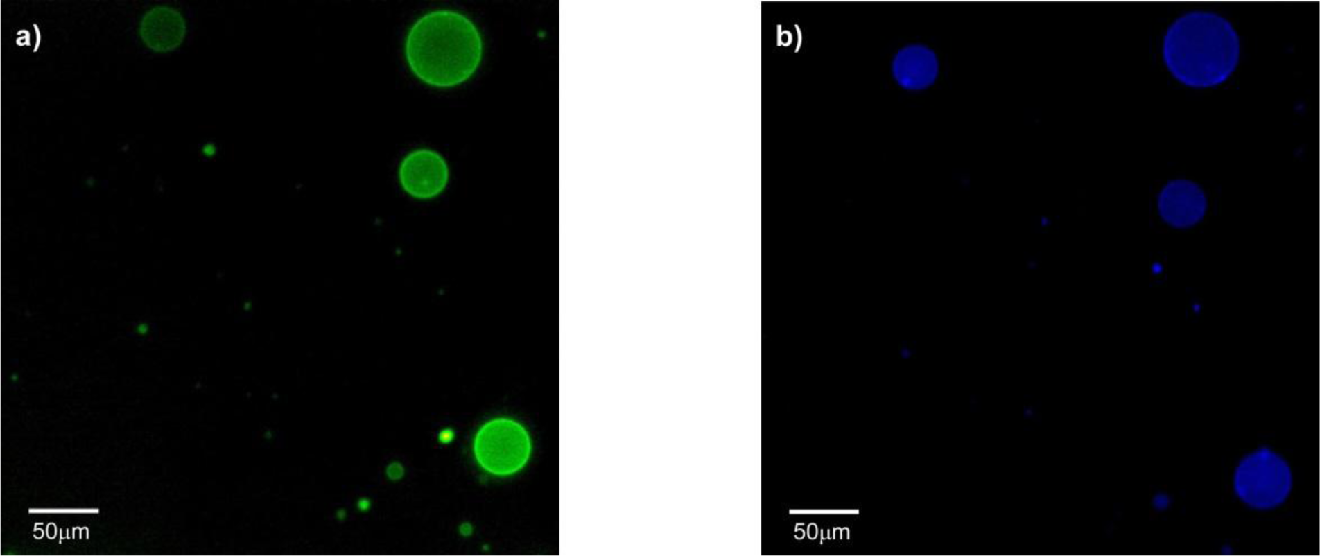 Materials 07 02120f6 1024