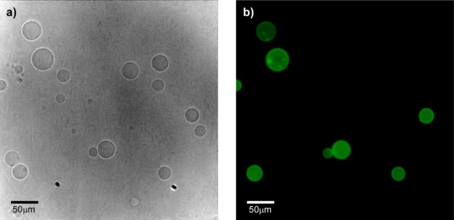 Materials 07 02120f9 1024