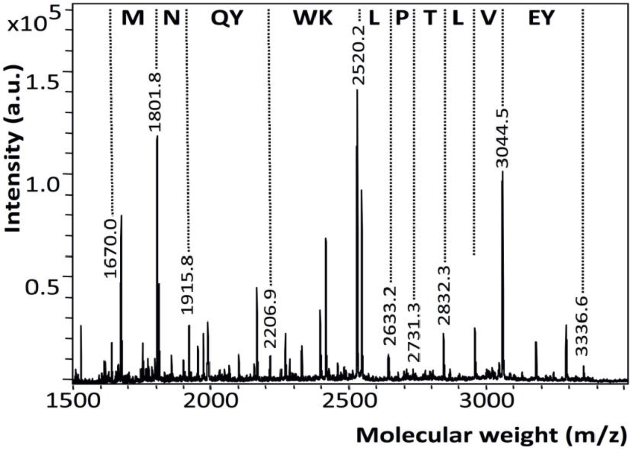 Materials 07 02210f4 1024