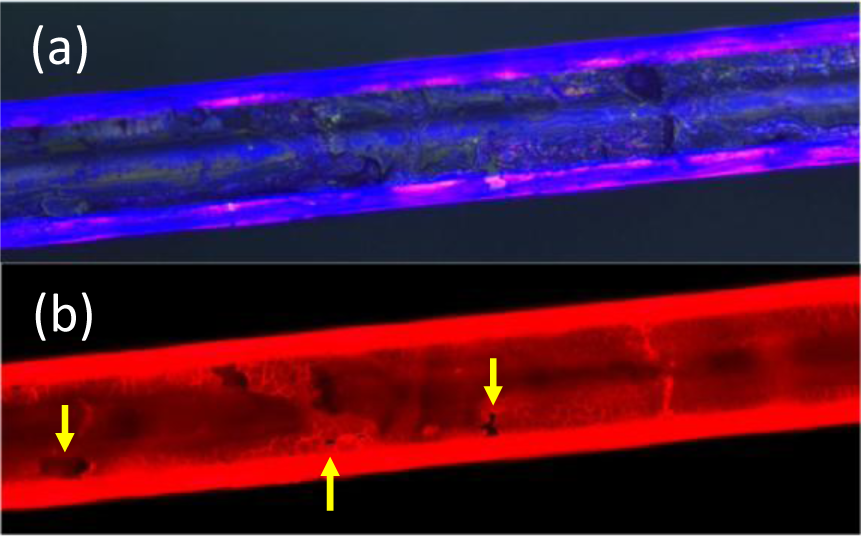 Materials 07 02356f6 1024