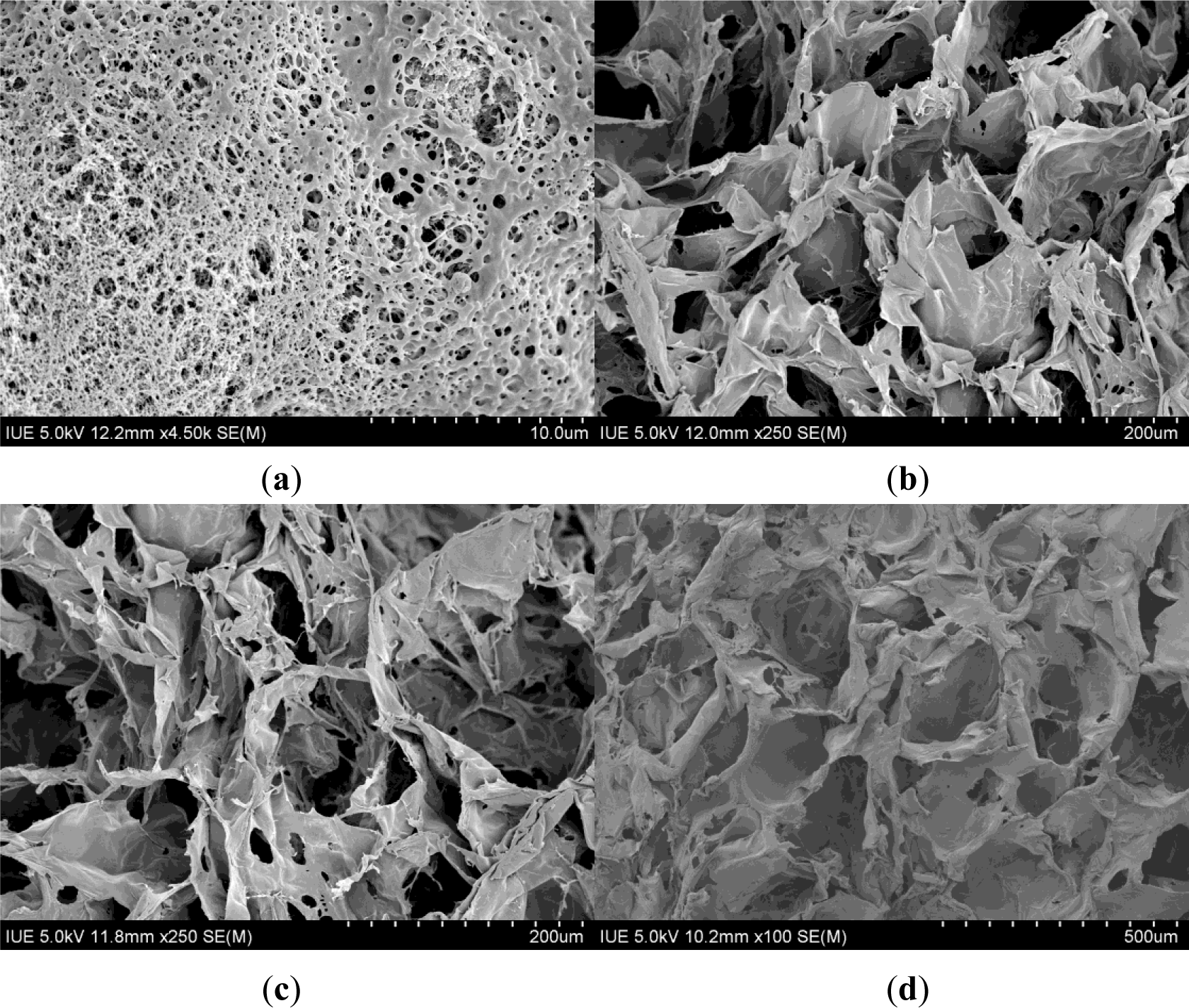 Materials 07 02459f3 1024