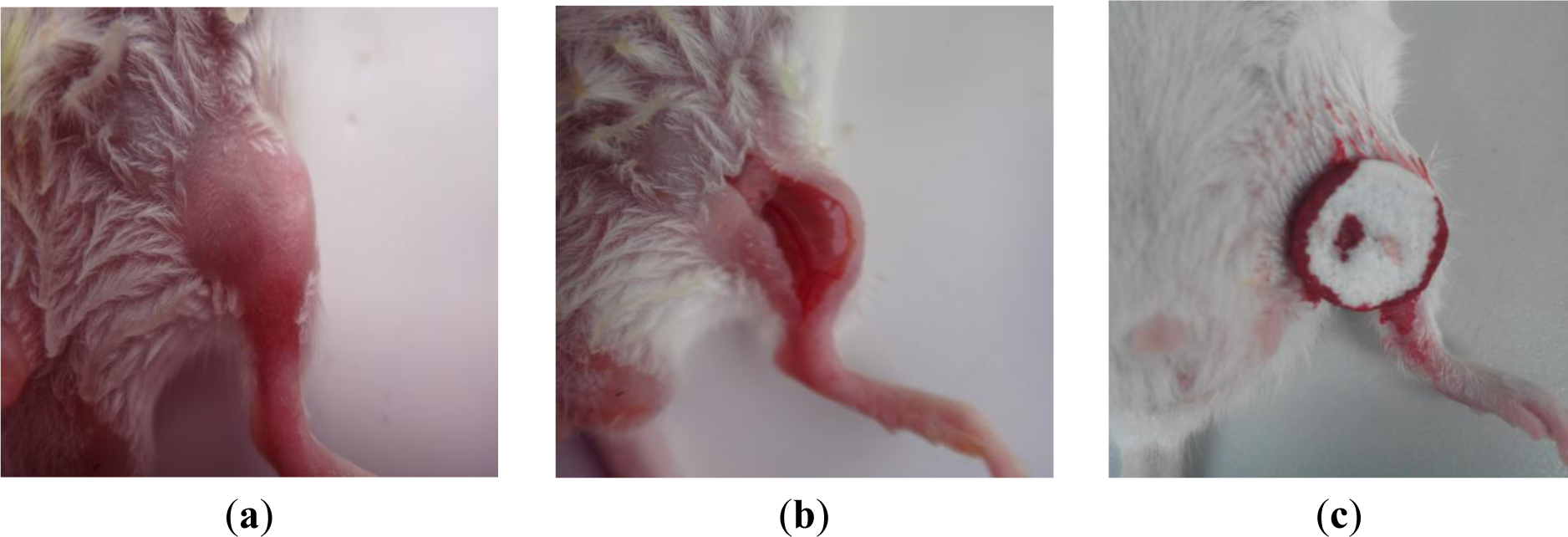 Materials 07 02459f8 1024