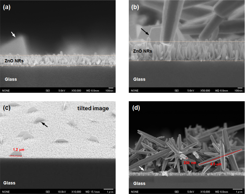 Materials 07 02522f3 1024