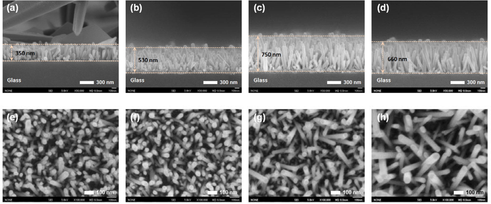 Materials 07 02522f4 1024