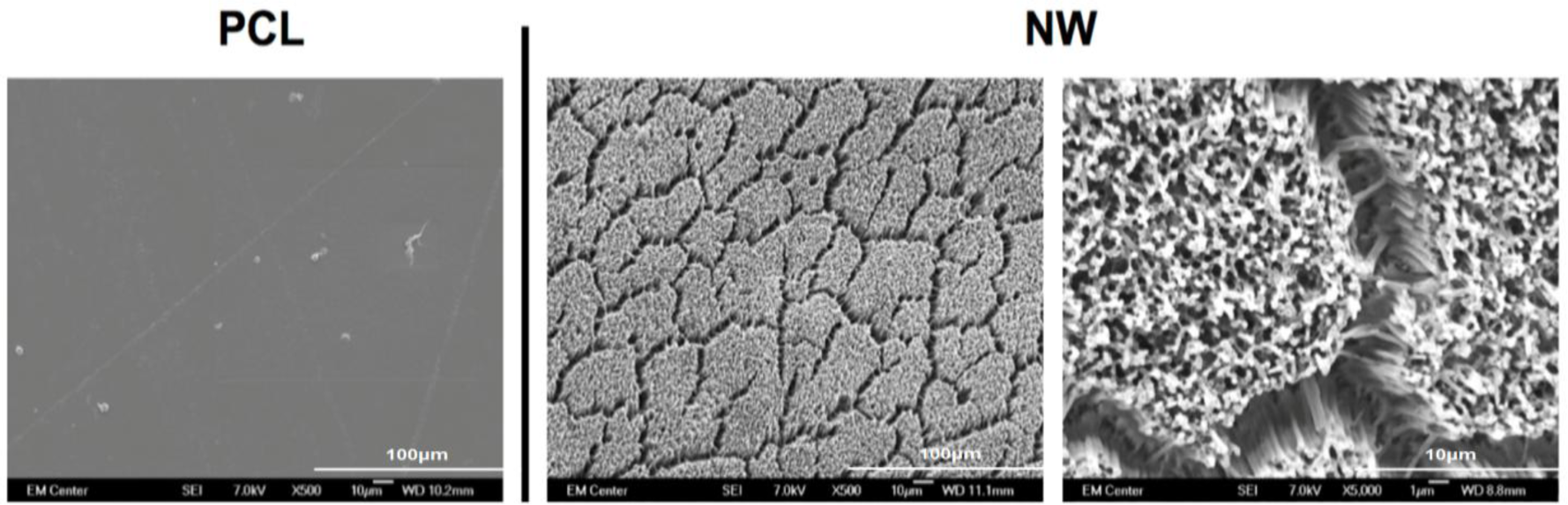 Materials 07 02605f1 1024