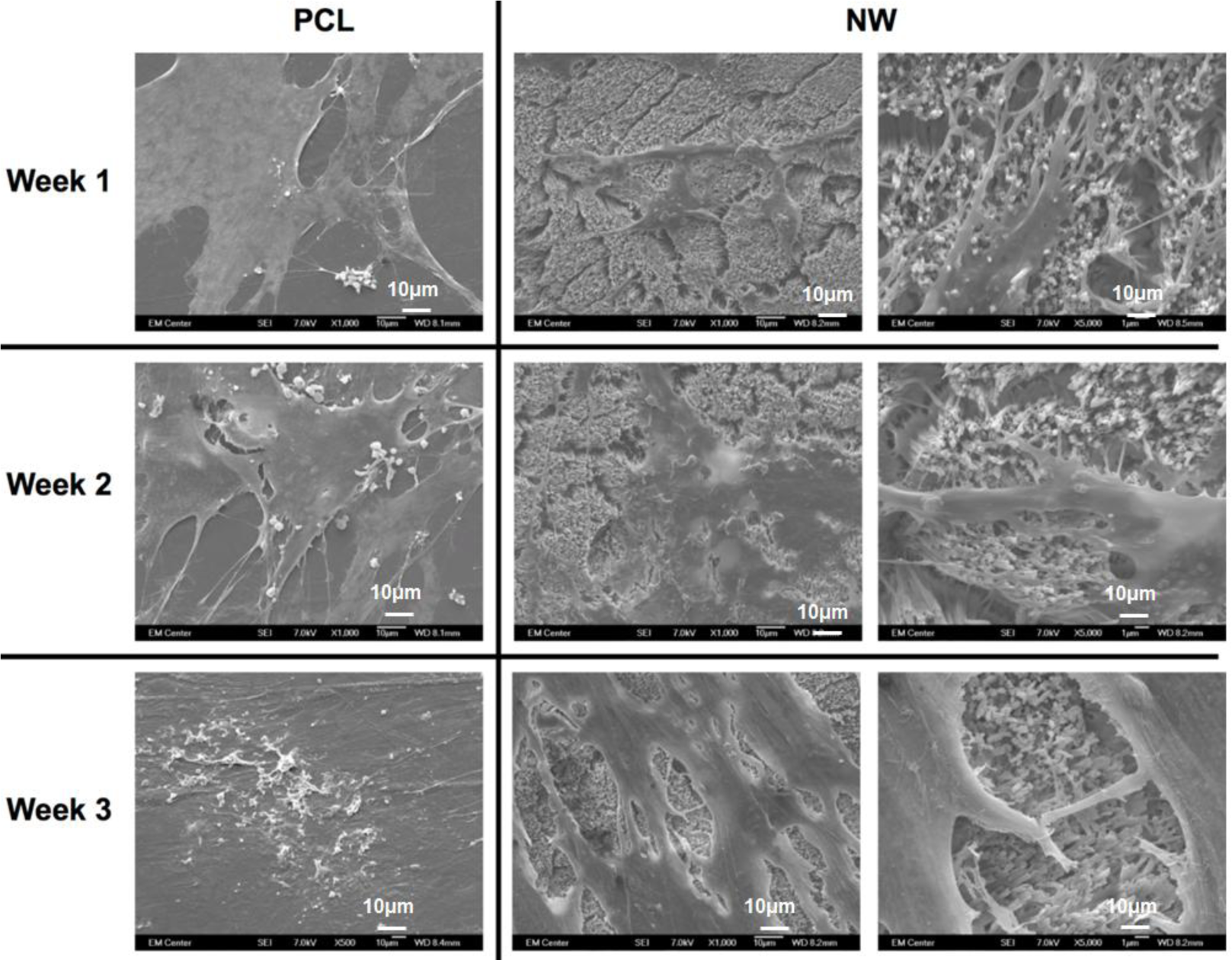 Materials 07 02605f10 1024