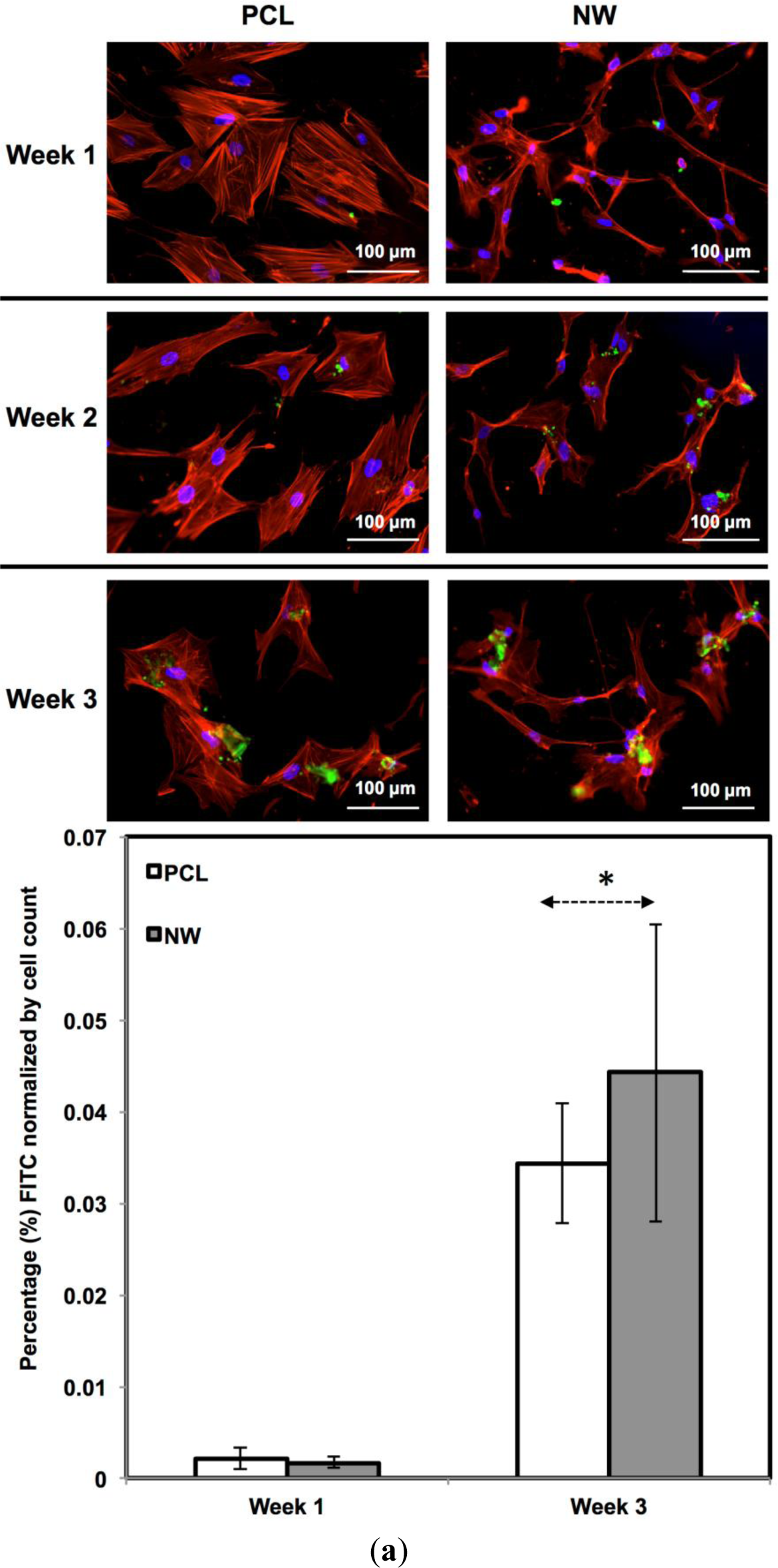 Materials 07 02605f11 1024