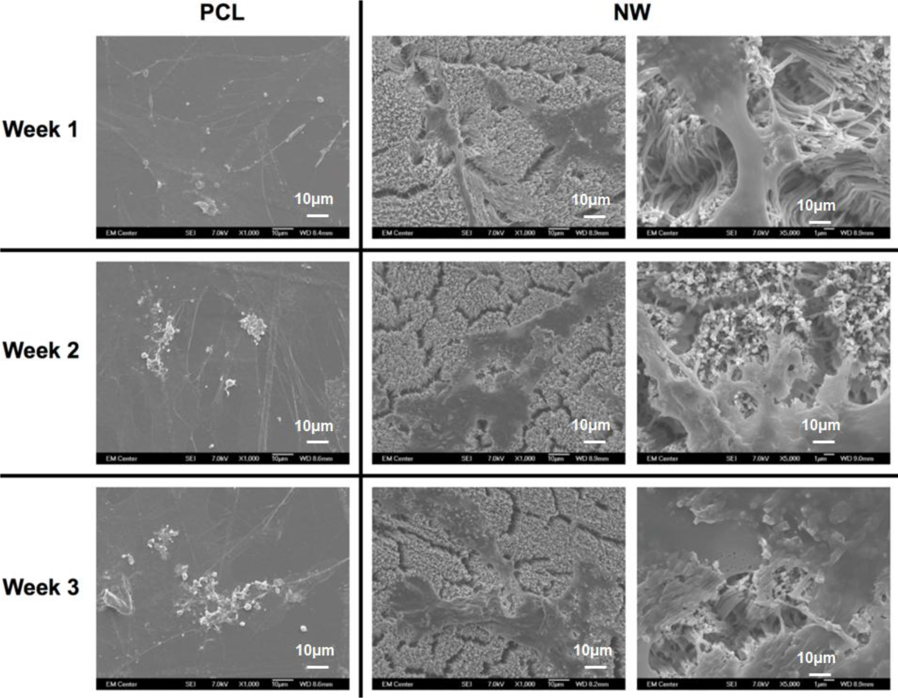 Materials 07 02605f14 1024