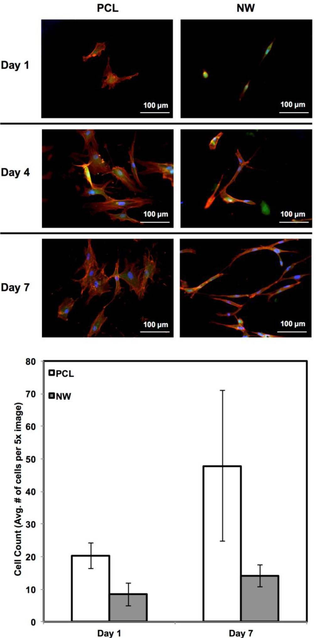 Materials 07 02605f3 1024