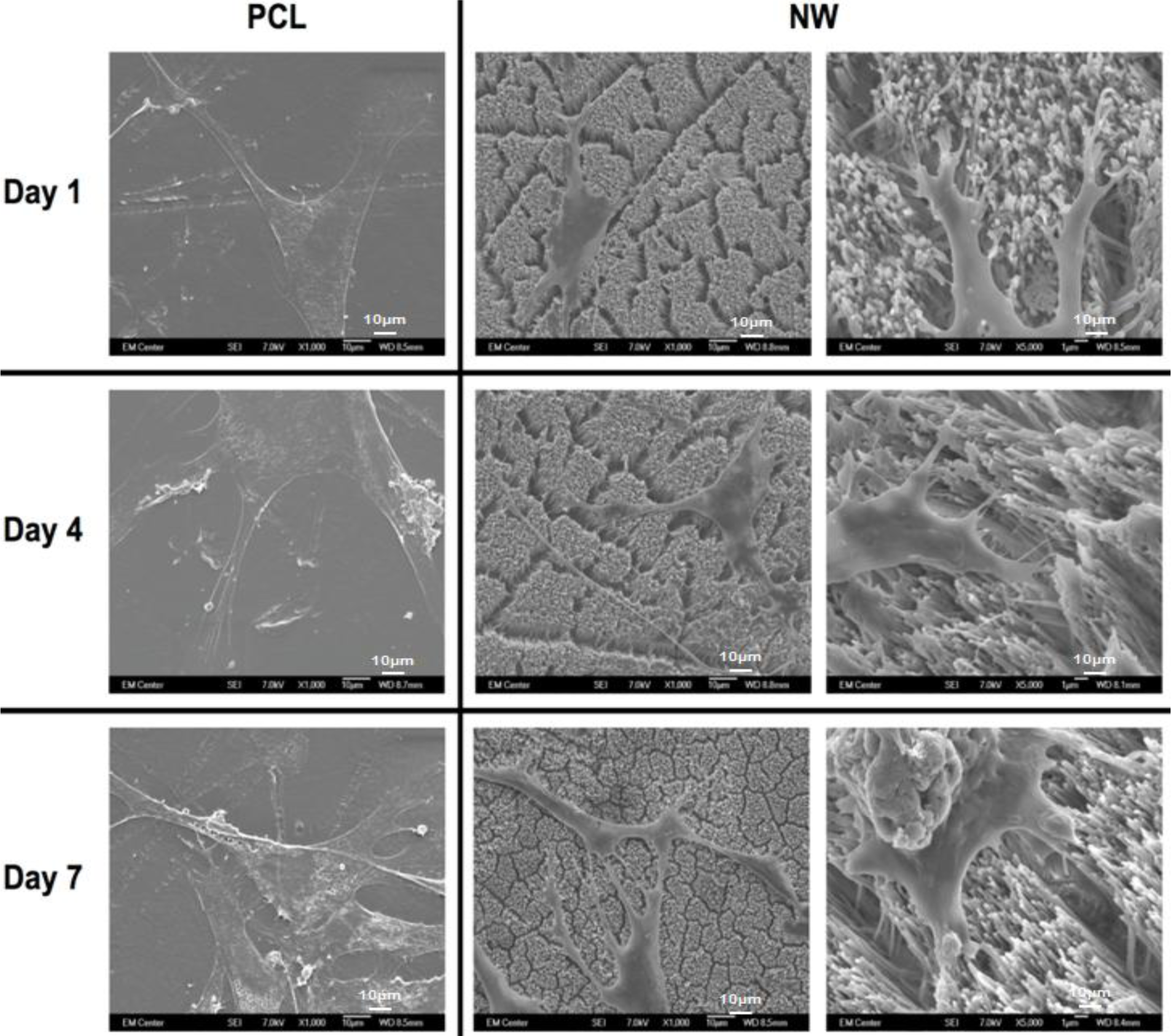 Materials 07 02605f6 1024