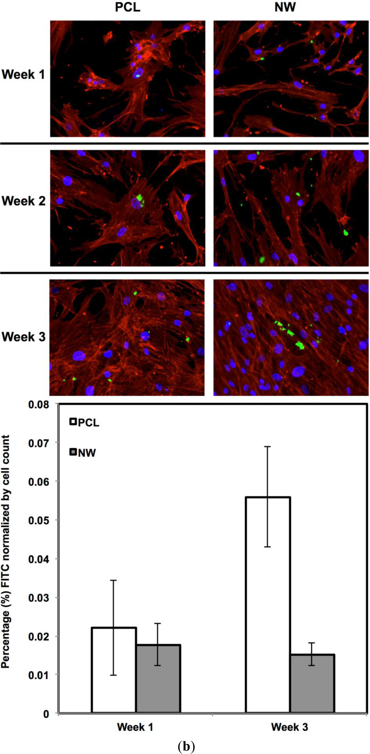 Materials 07 02605f7a 1024