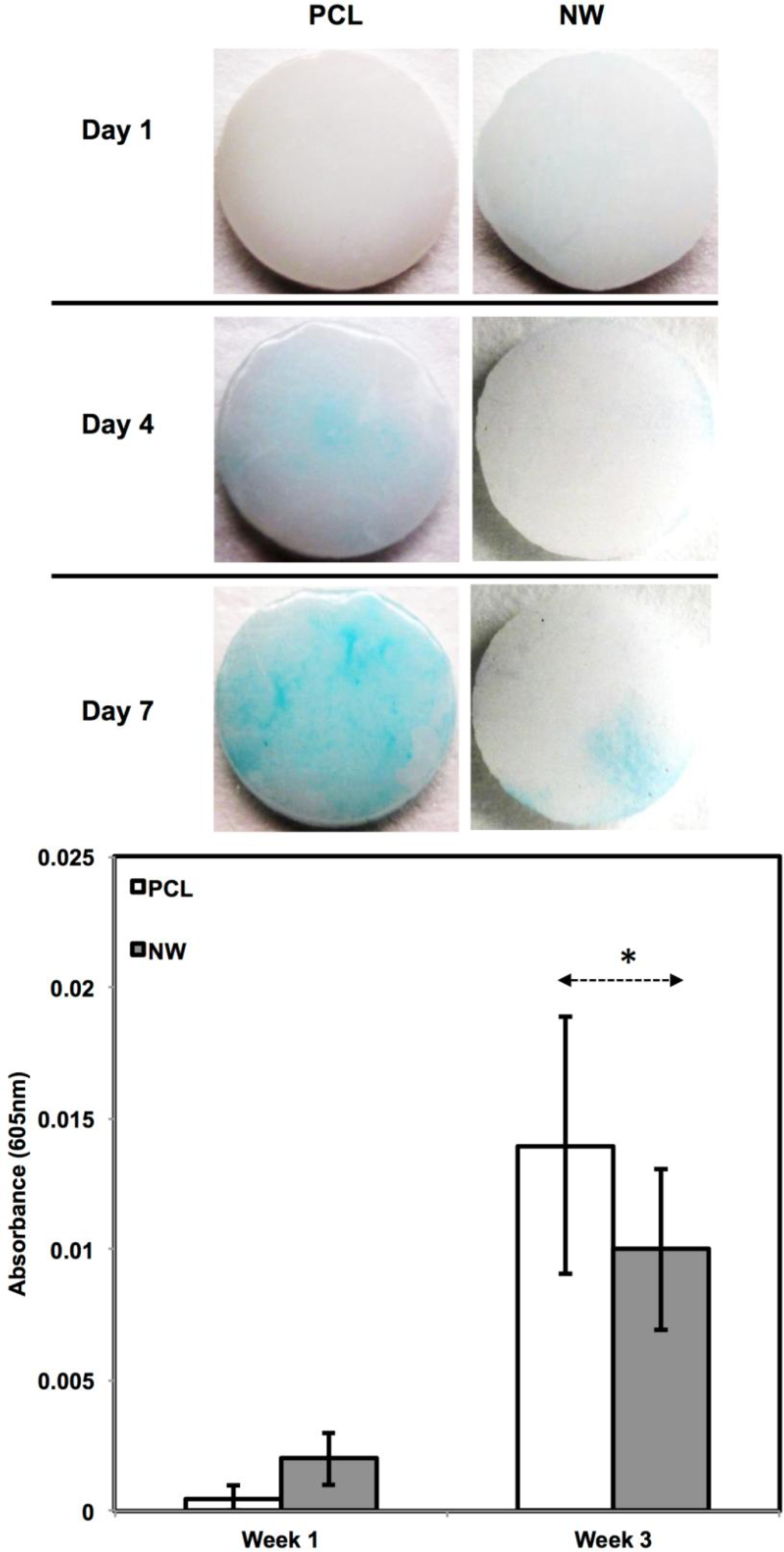 Materials 07 02605f9 1024