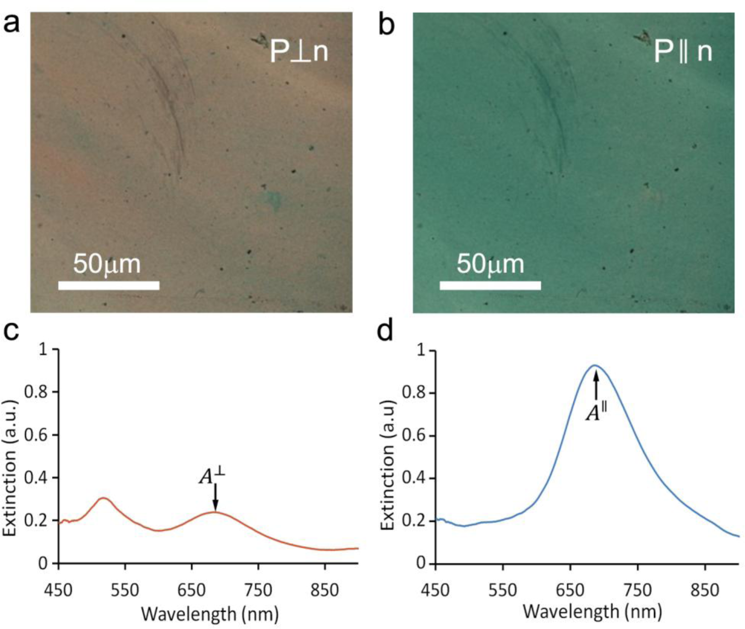 Materials 07 03021f1 1024