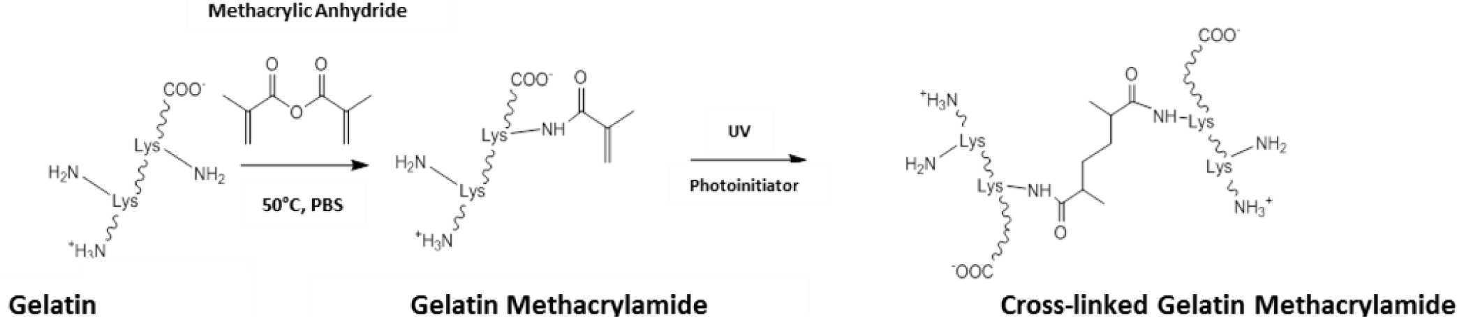Materials 07 03106f8 1024