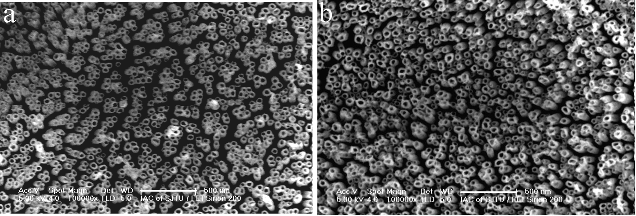 Materials 07 03262f3 1024