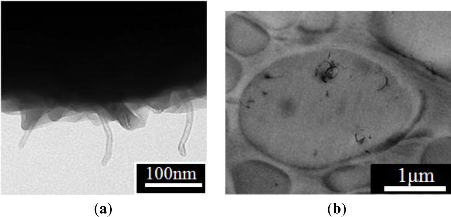 Materials 07 03399f8 1024