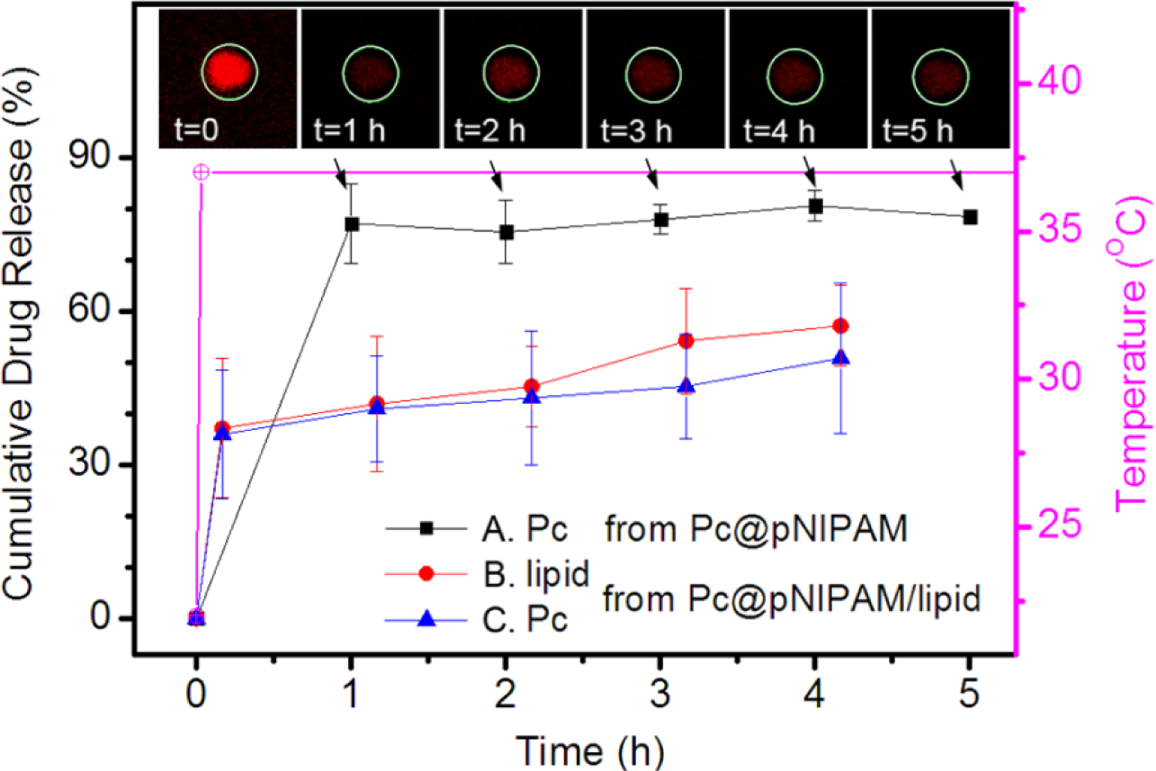 Materials 07 03481f4 1024
