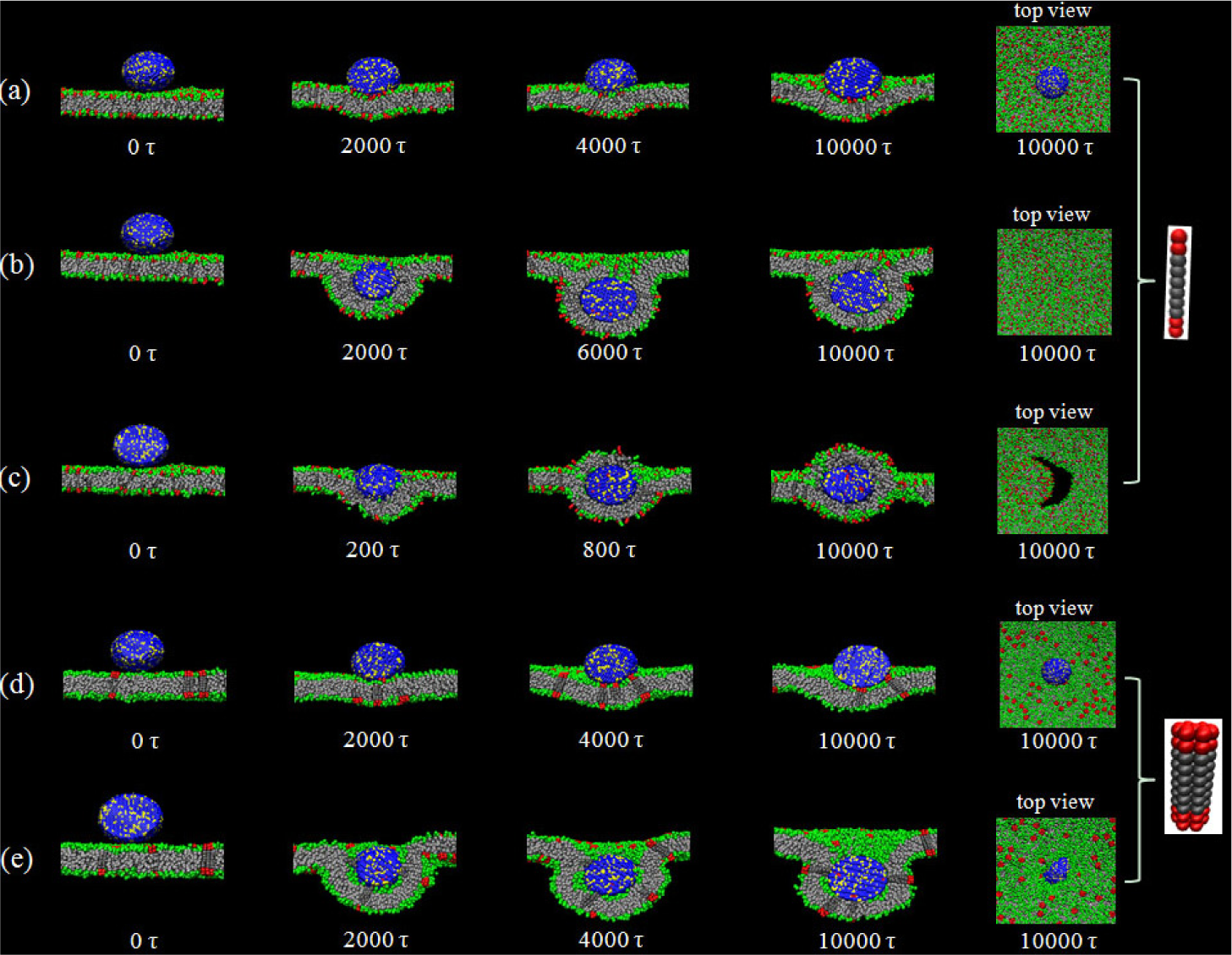 Materials 07 03855f2 1024