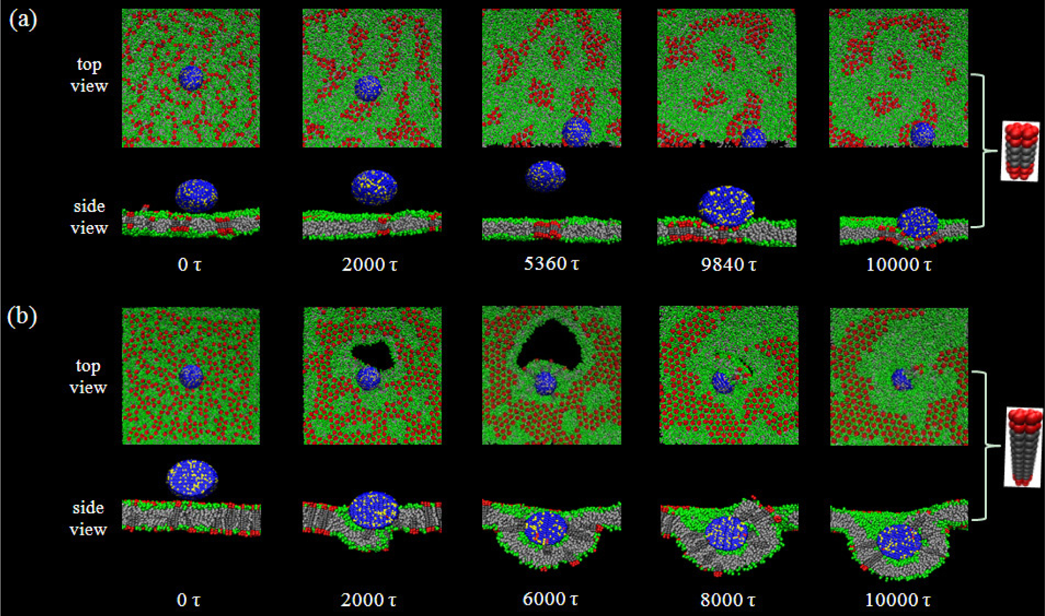 Materials 07 03855f6 1024