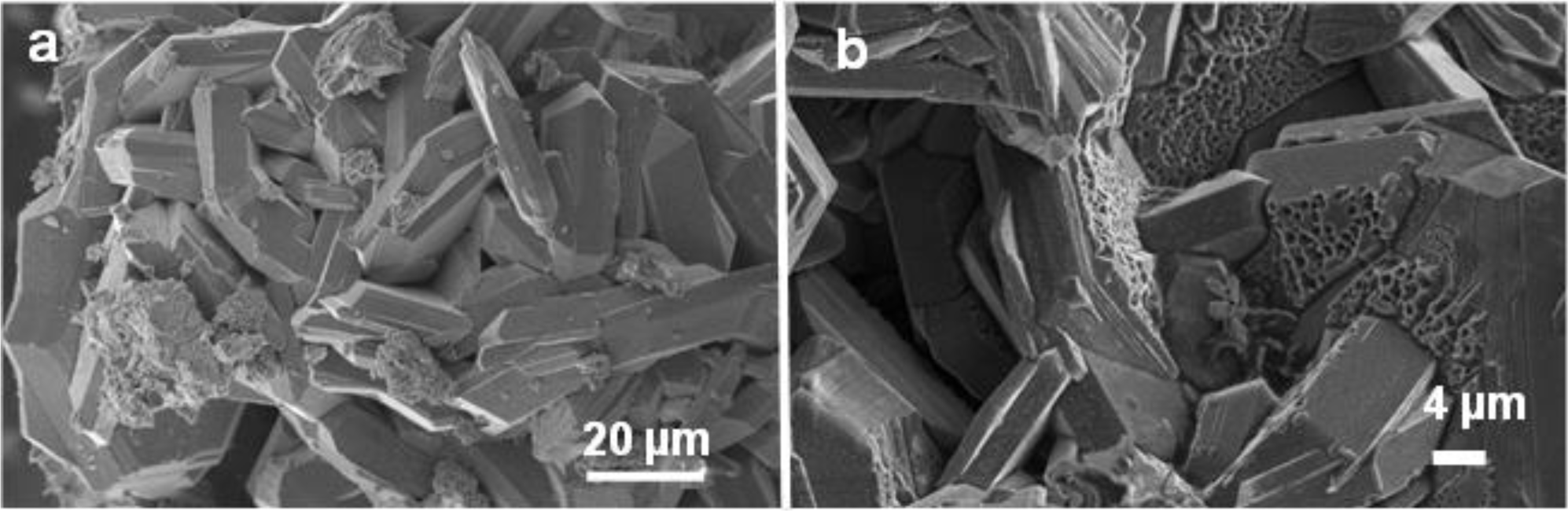 Materials 07 03901f5 1024