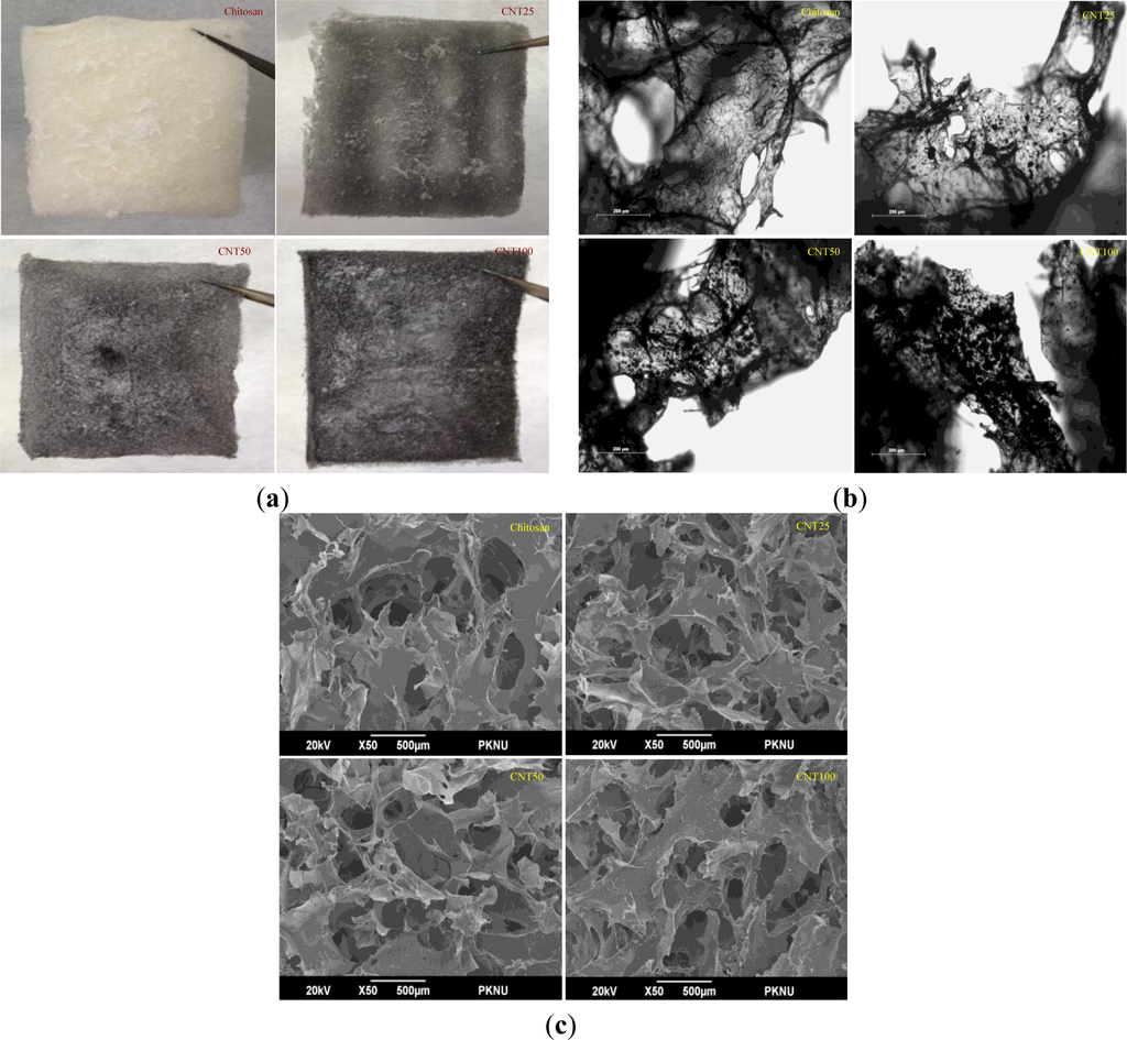 Materials 07 03946f4 1024