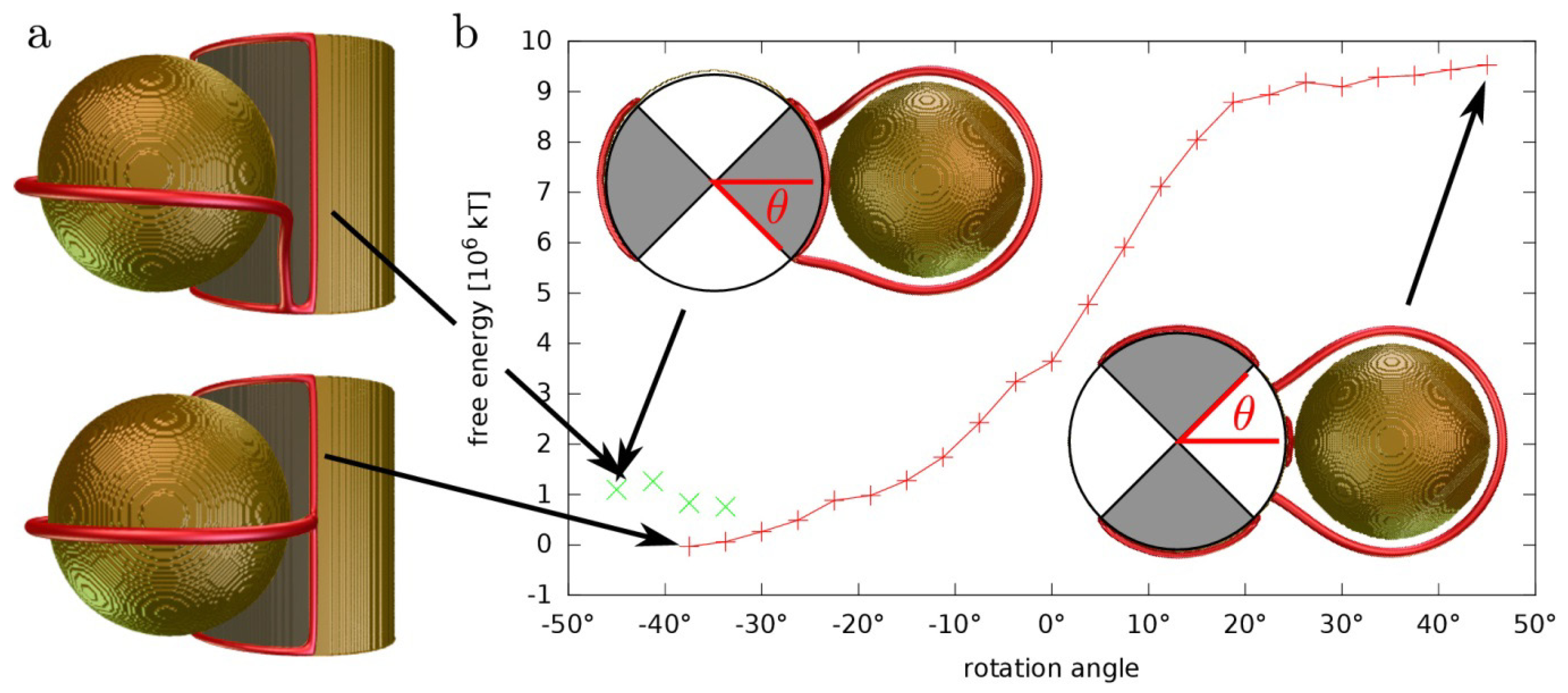 Materials 07 04272 g004 1024