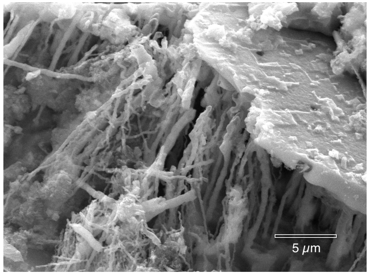 Materials 07 04321 g010