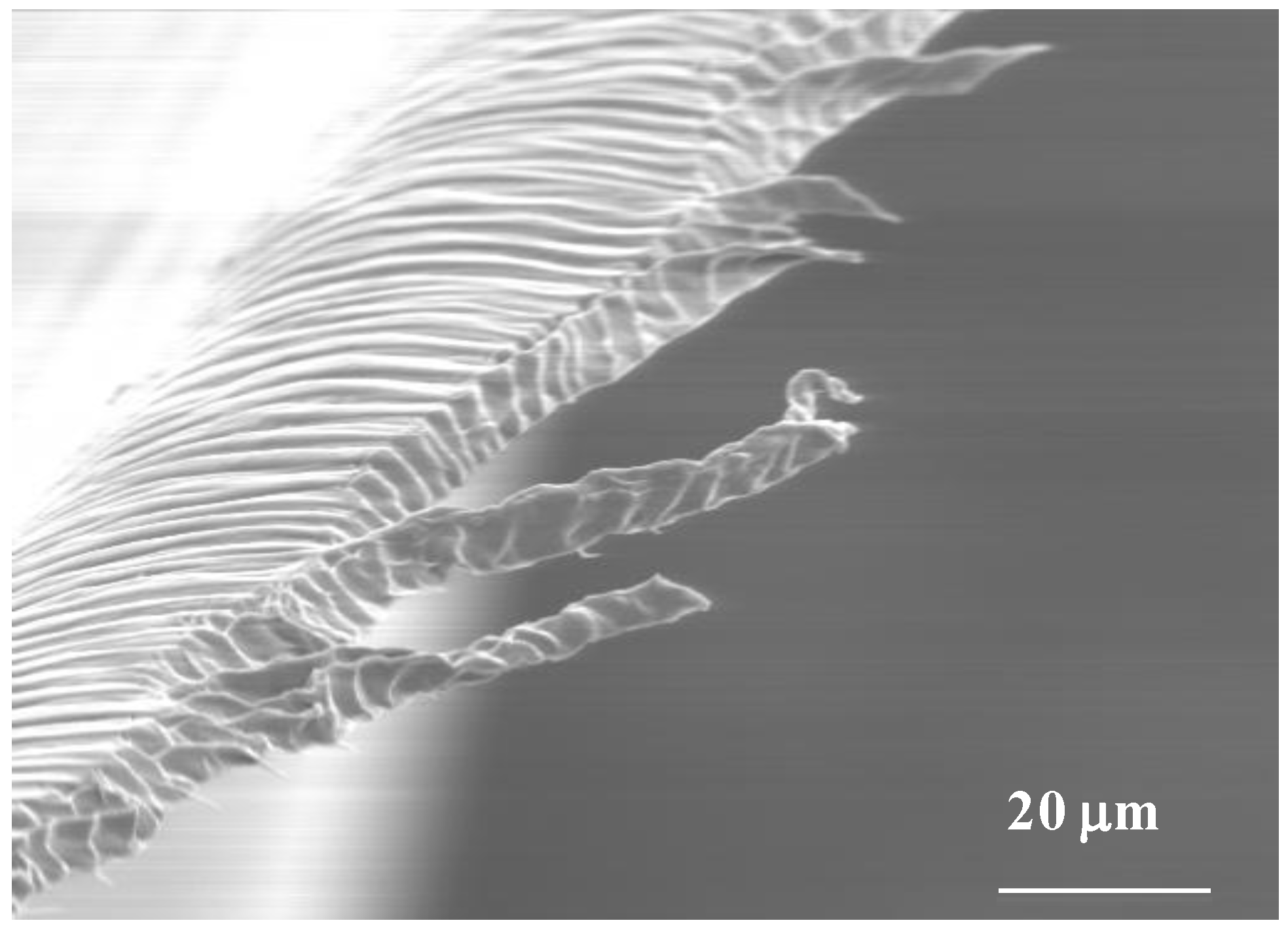 Materials 07 04601 g002