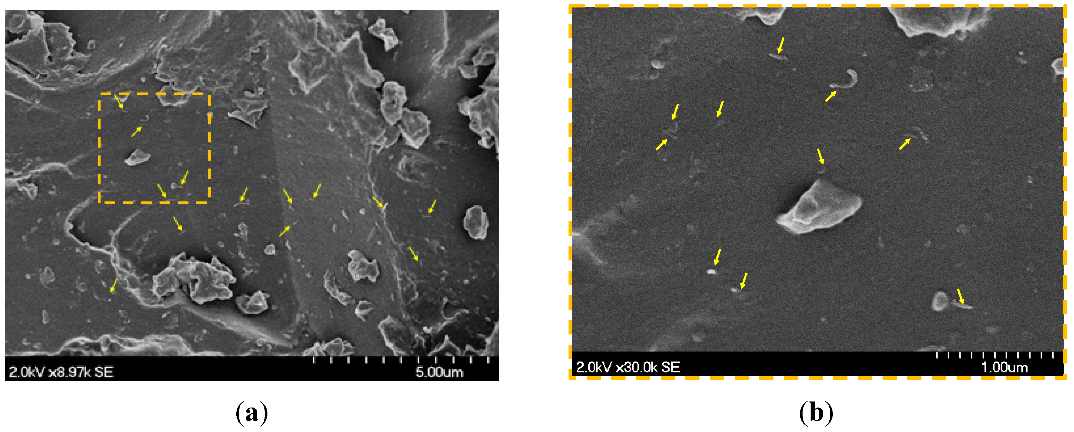 Materials 07 04640 g002