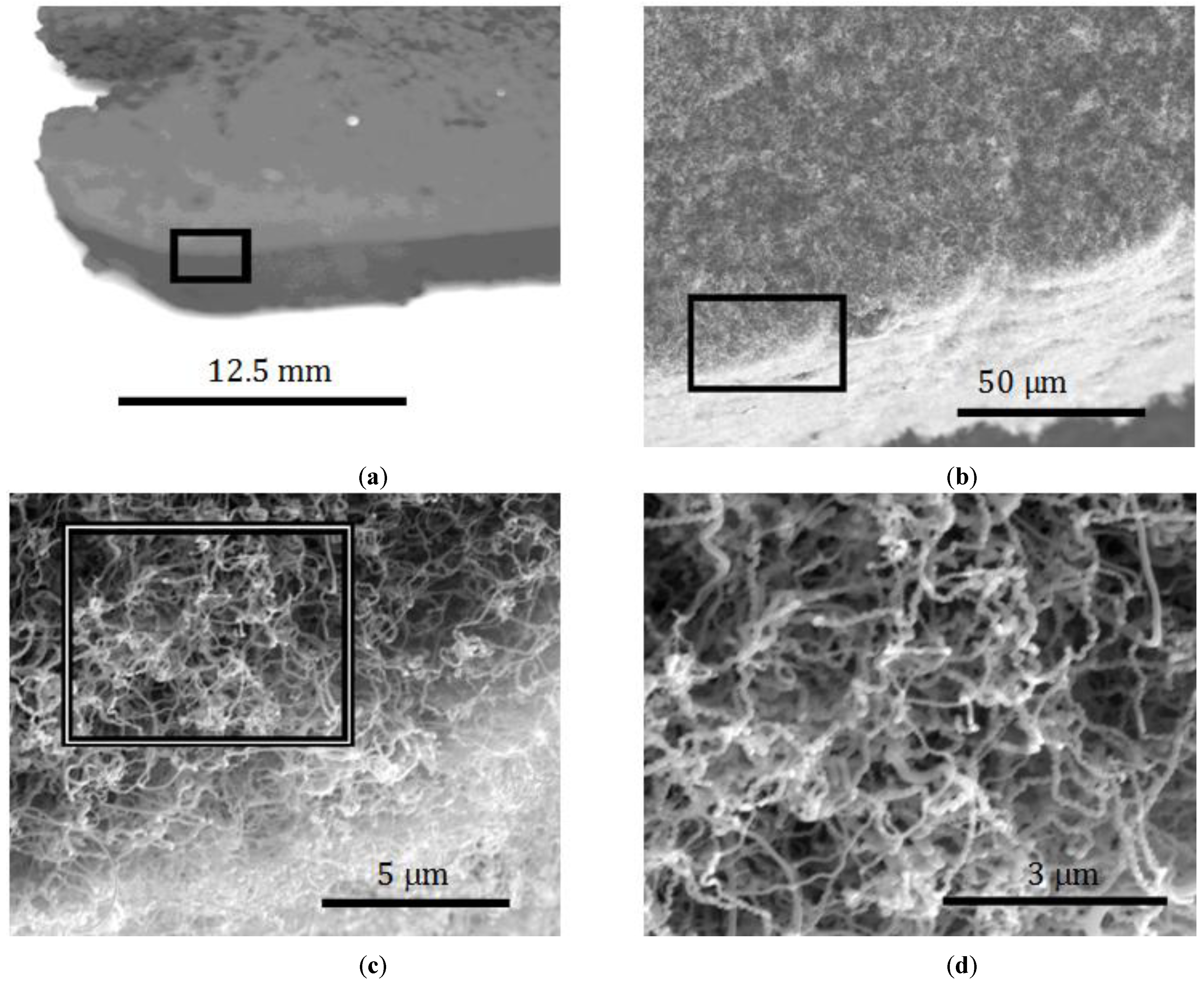 Materials 07 04845 g001