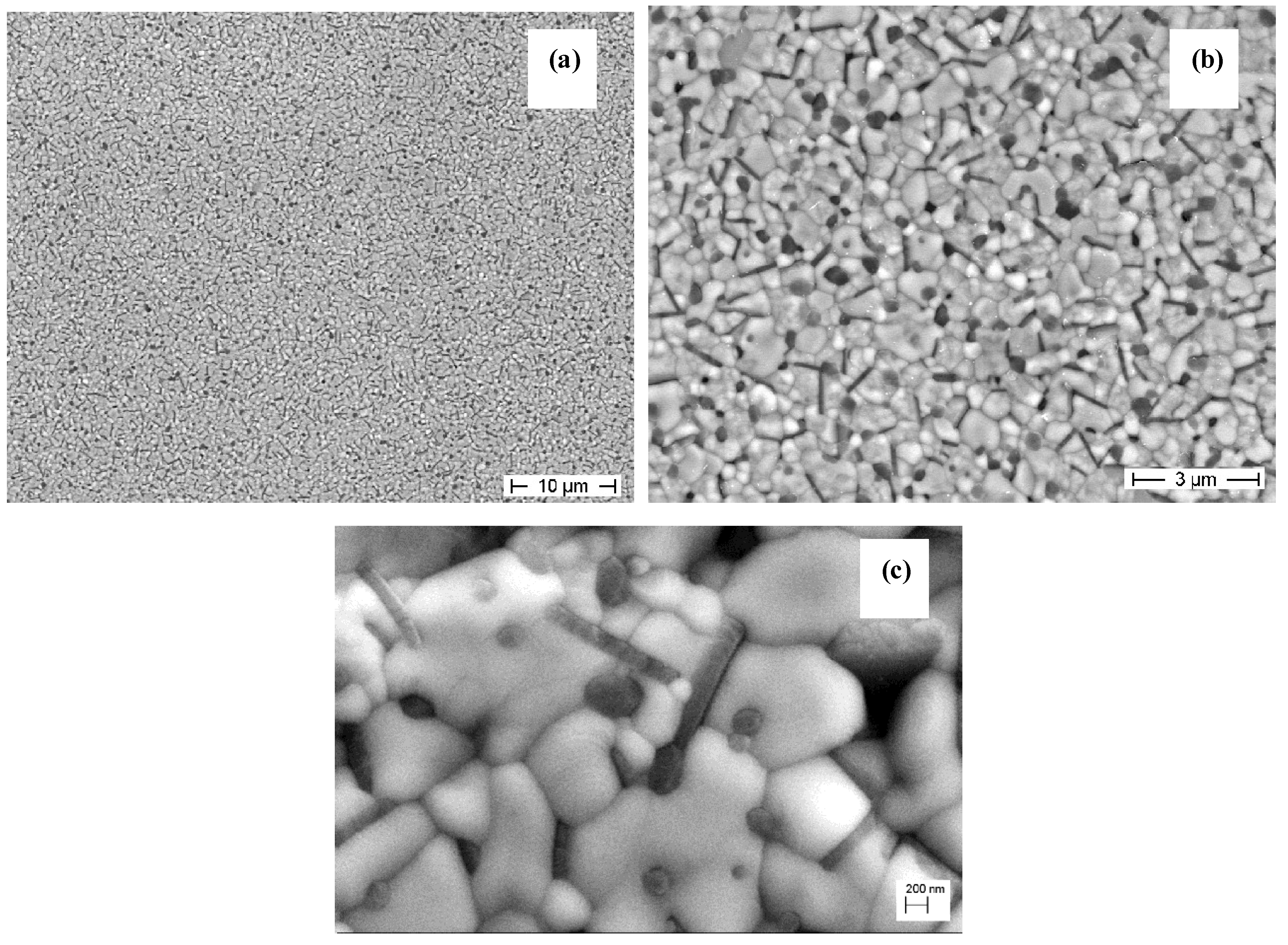 Materials 07 05012 g008