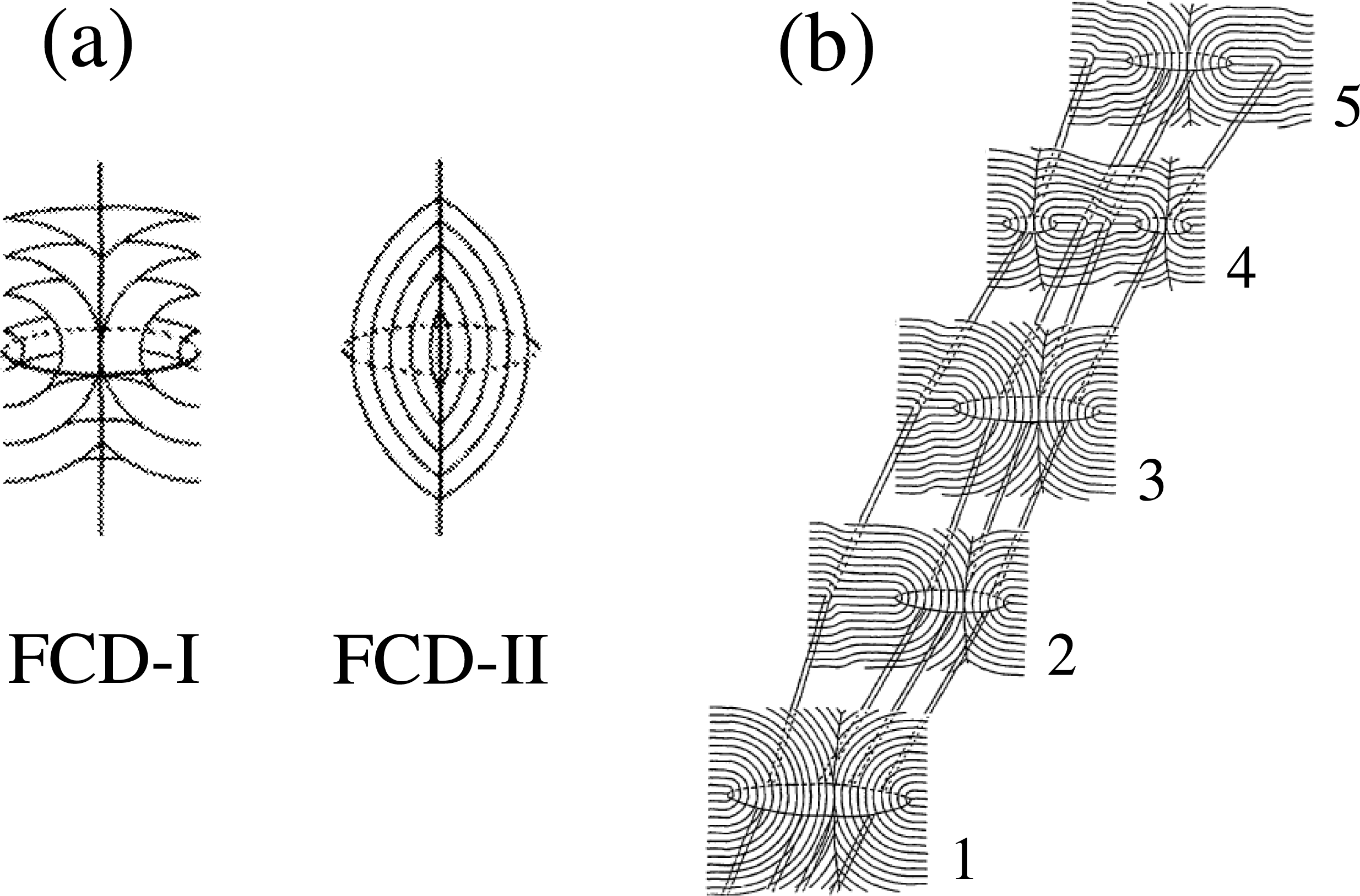 Materials 07 05146f1 1024
