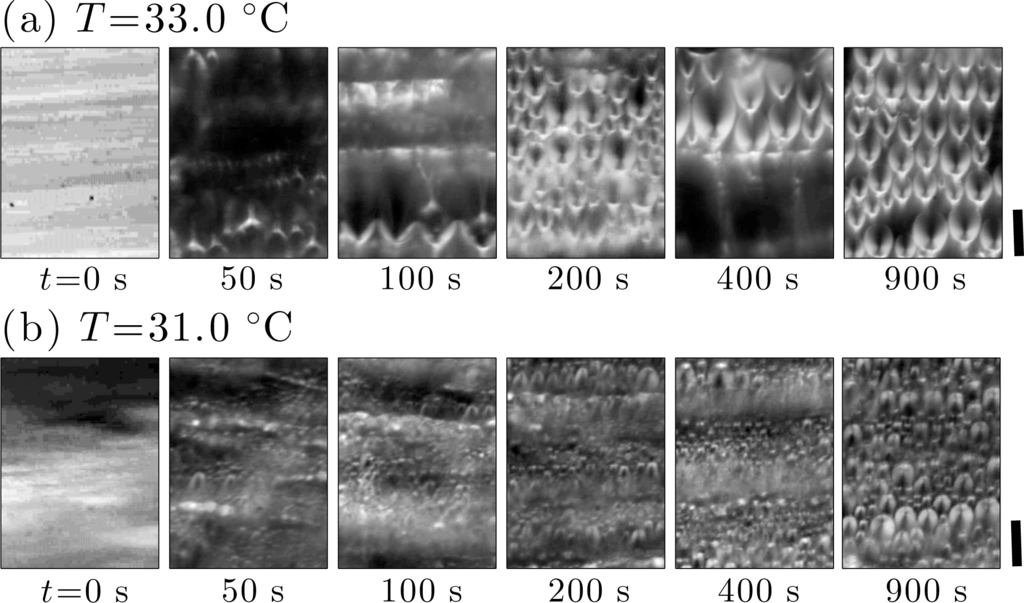 Materials Free Full Text Structural Rheology Of The Smectic Phase Html