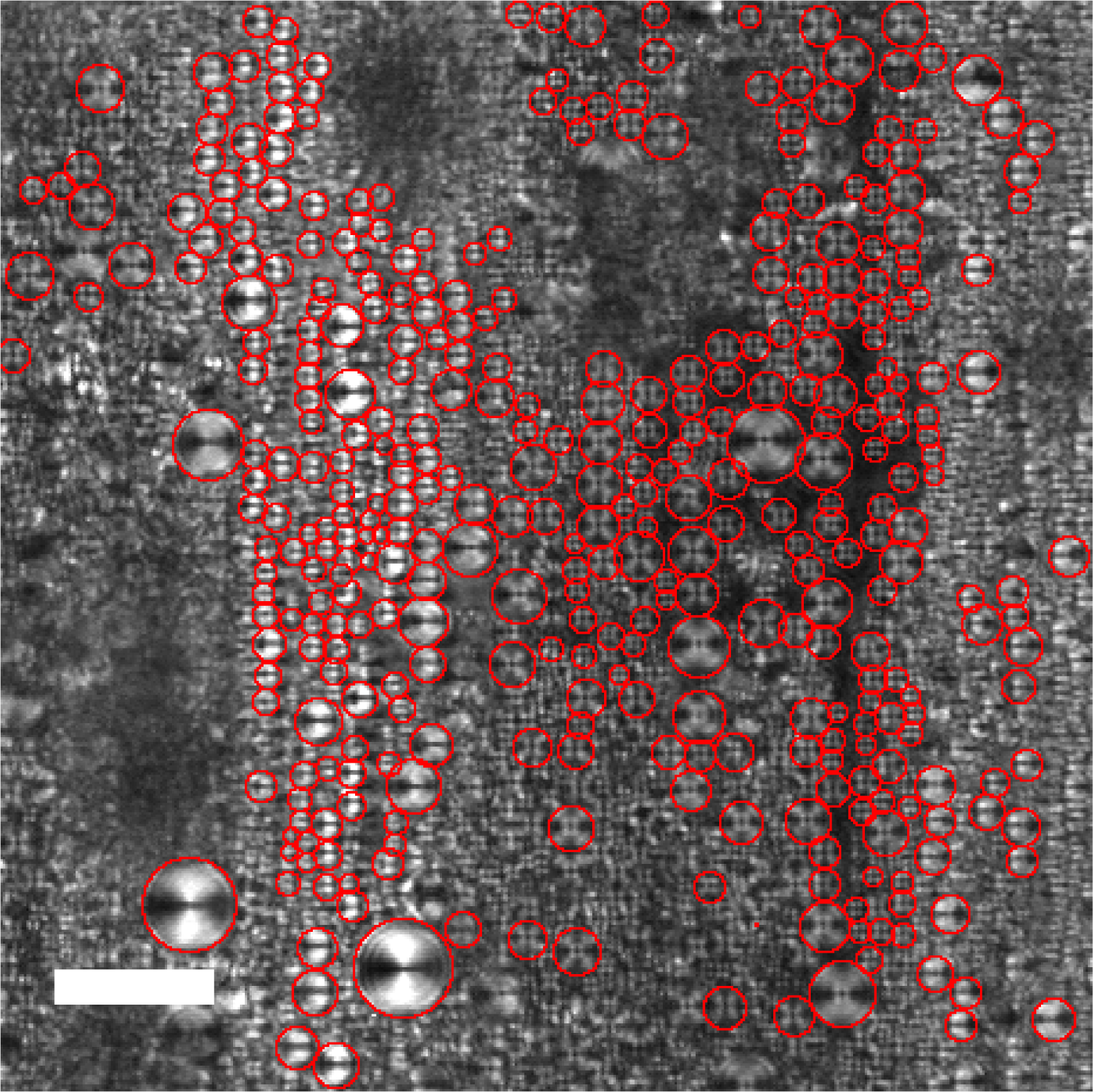 Materials 07 05146f3 1024