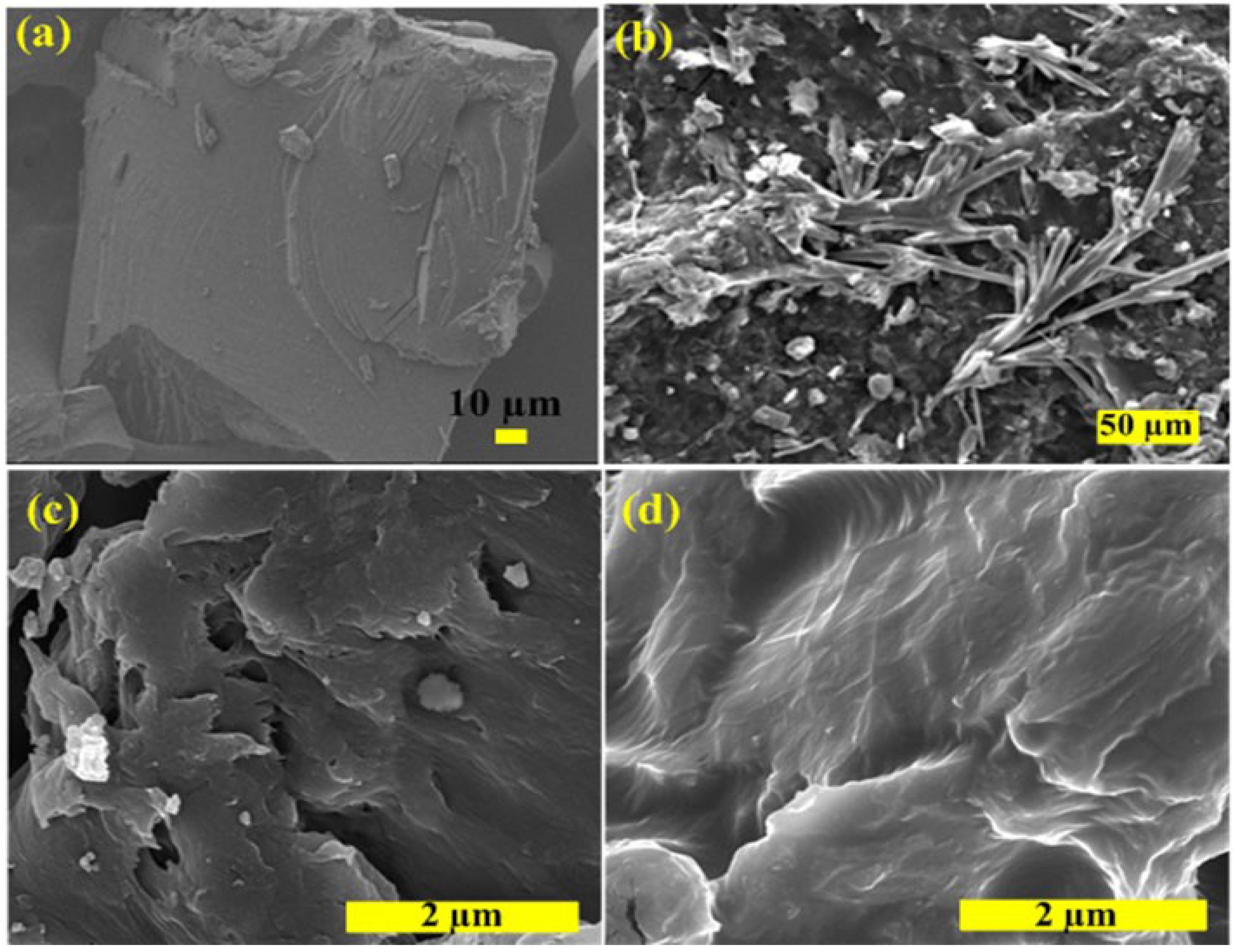 Materials 07 05212 g004 1024