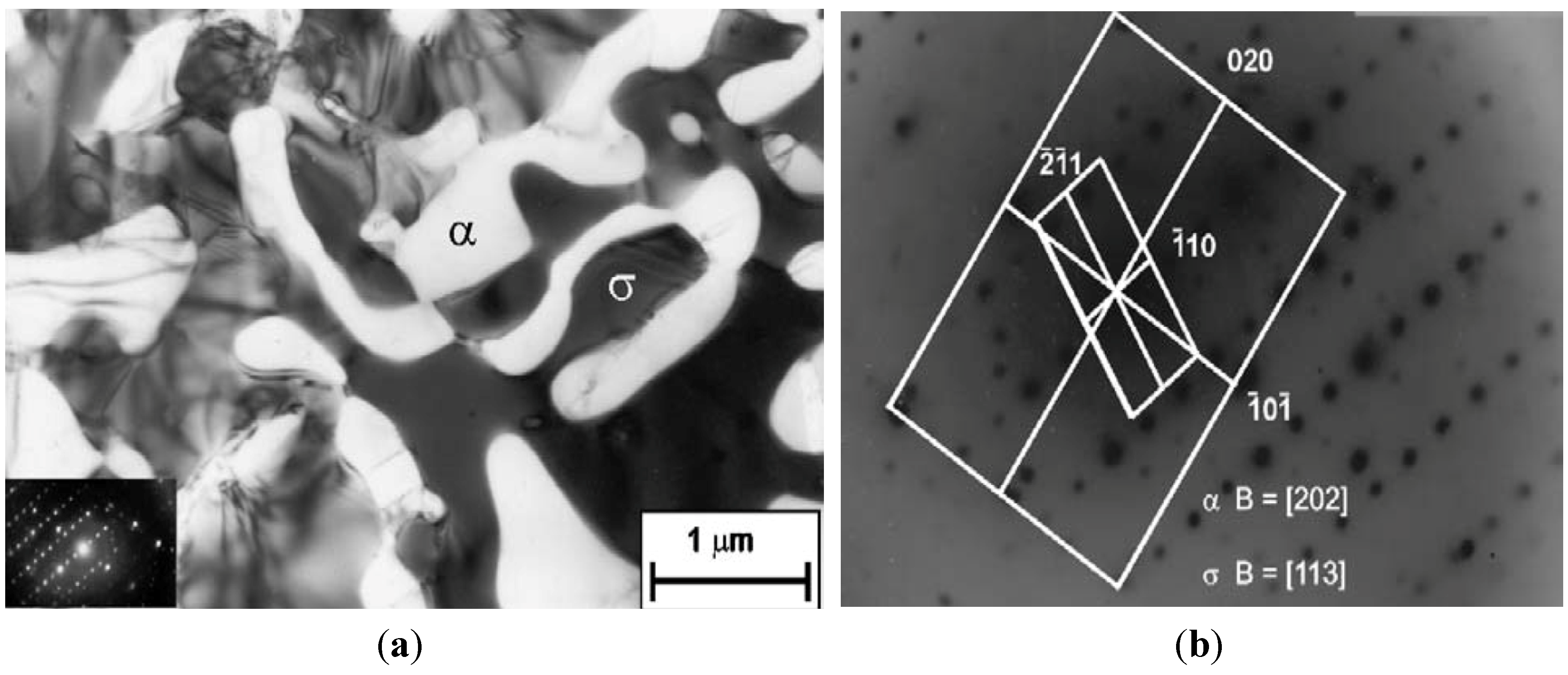 Materials 07 05268 g006 1024