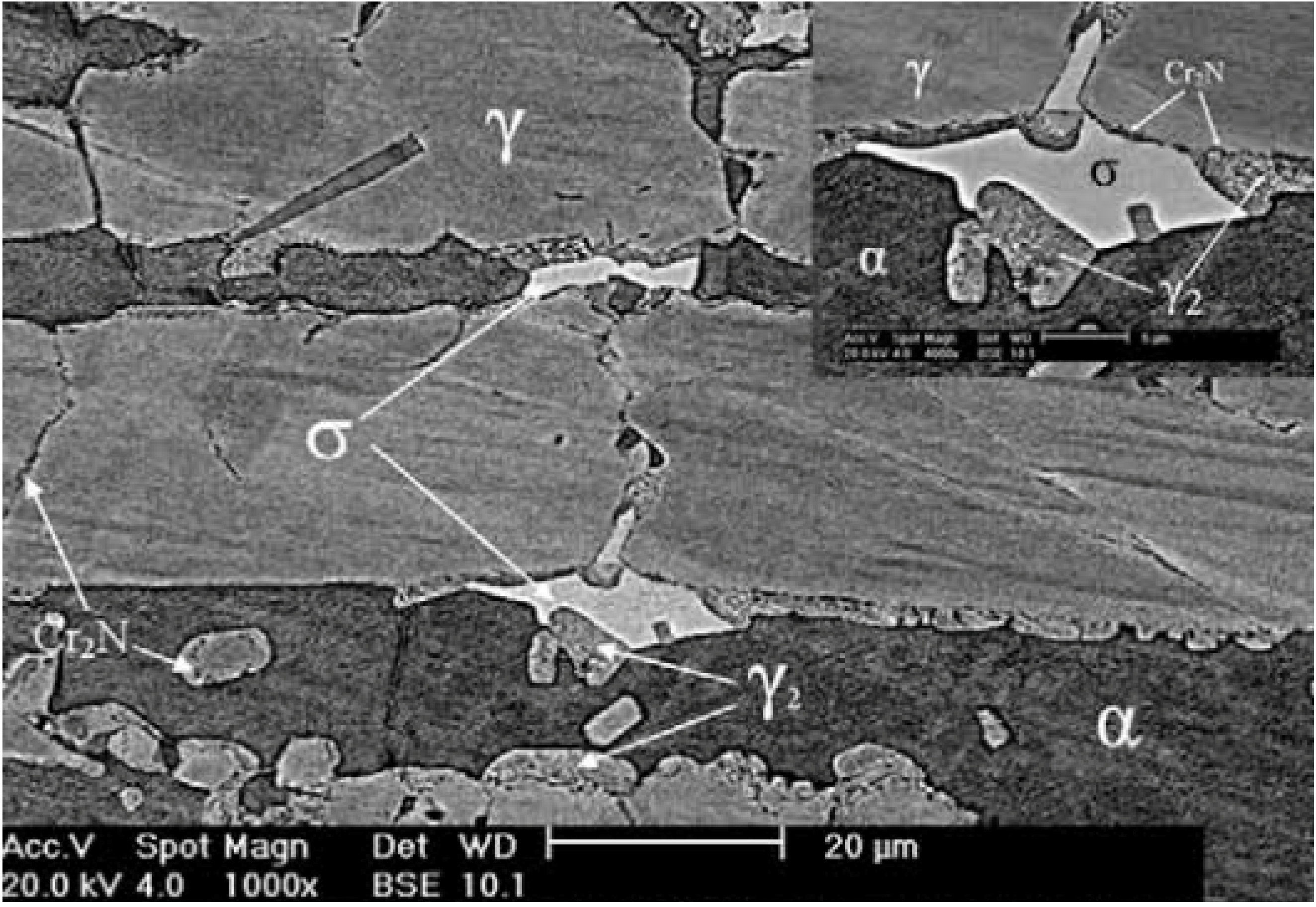 Materials 07 05268 g008 1024