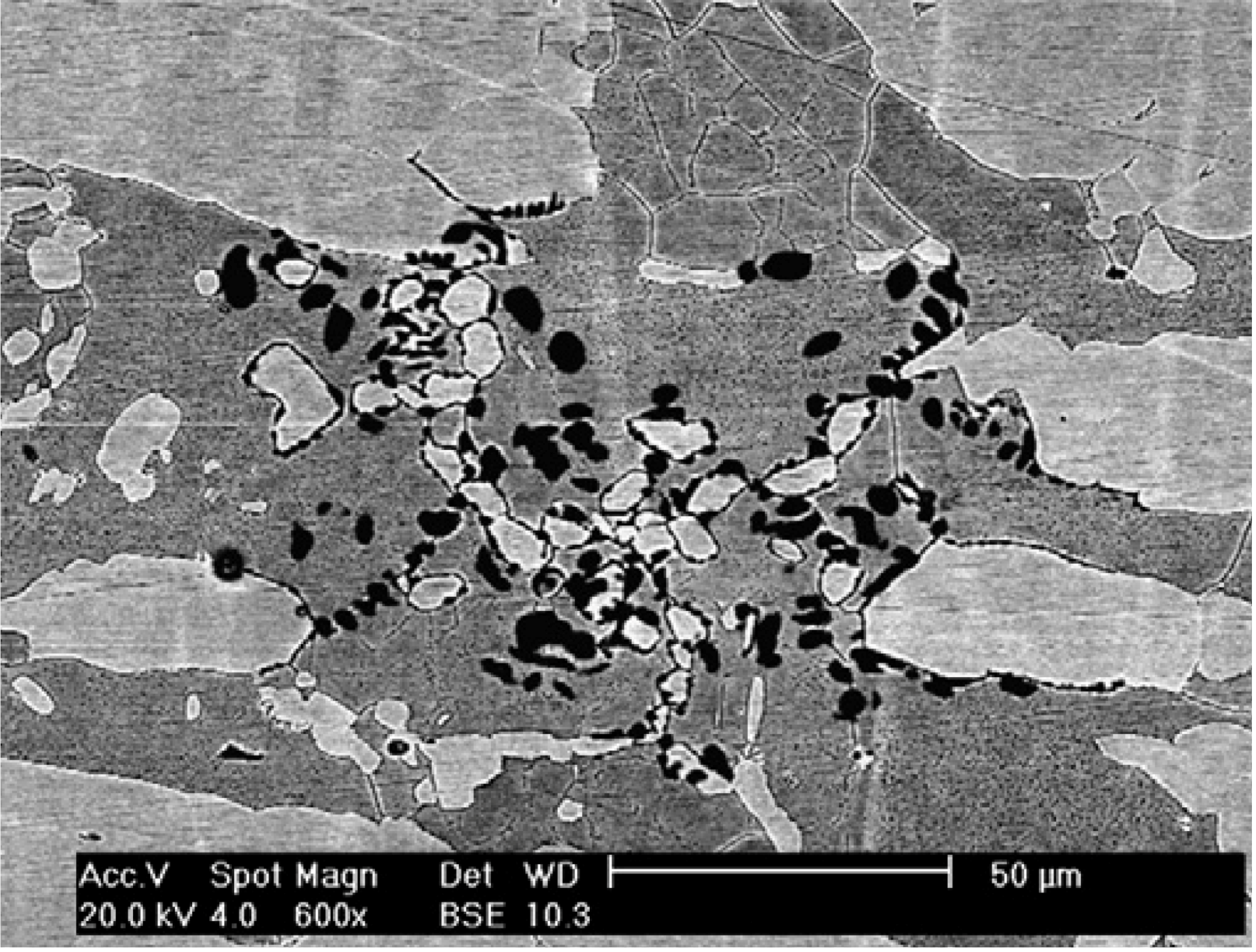 Materials 07 05268 g024 1024