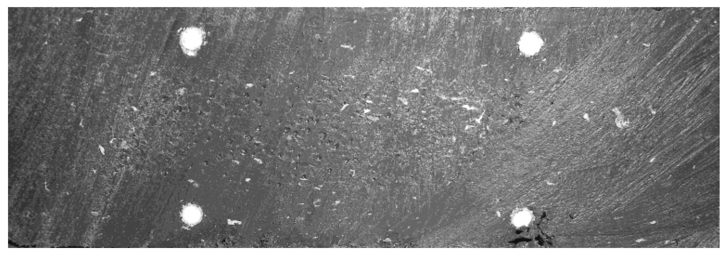 Materials 07 05385 g006 1024