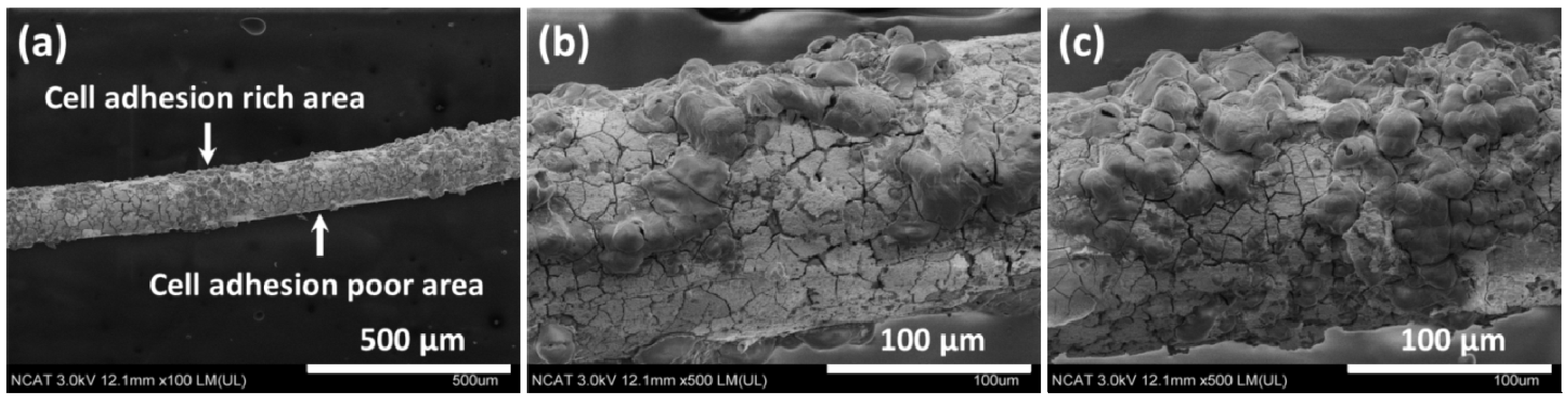 Materials 07 05866 g012 1024